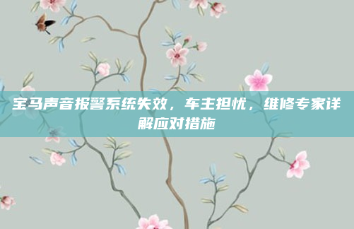 宝马声音报警系统失效，车主担忧，维修专家详解应对措施