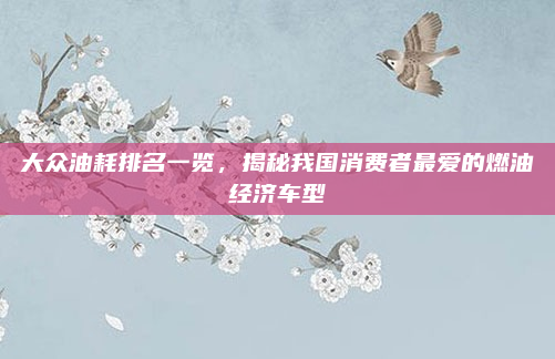 大众油耗排名一览，揭秘我国消费者最爱的燃油经济车型