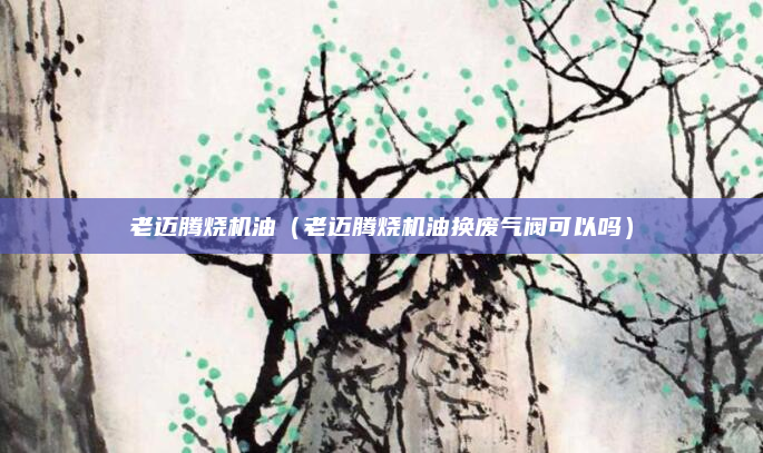 老迈腾烧机油（老迈腾烧机油换废气阀可以吗）
