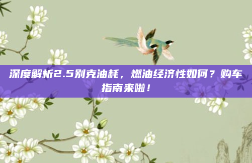 深度解析2.5别克油耗，燃油经济性如何？购车指南来啦！