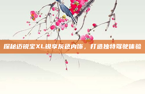 探秘迈锐宝XL锐享灰色内饰，打造独特驾驶体验