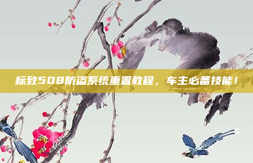 标致508防盗系统重置教程,车主必备技能!