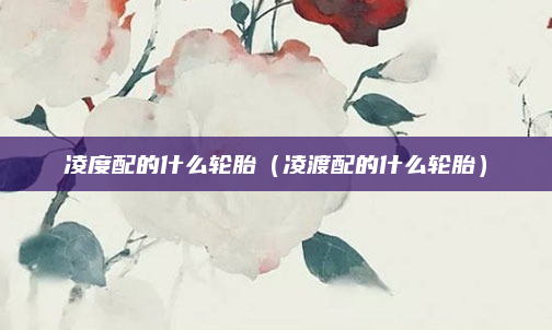 凌度配的什么轮胎（凌渡配的什么轮胎）