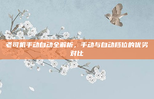 老司机手动自动全解析，手动与自动档位的优劣对比