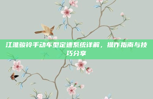 江淮骏铃手动车型定速系统详解，操作指南与技巧分享