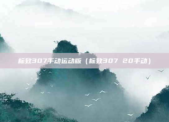 标致307手动运动版（标致307 20手动）