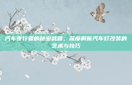 汽车夜行者的秘密武器，深度解析汽车灯改装的艺术与技巧