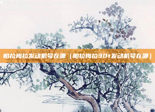 帕拉梅拉发动机号在哪（帕拉梅拉30t发动机号在哪）