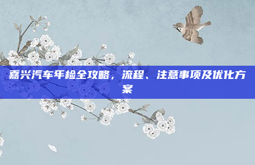 嘉兴汽车年检全攻略,流程、注意事项及优化方案
