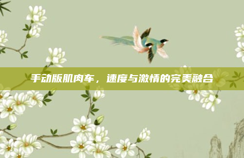 手动版肌肉车，速度与激情的完美融合