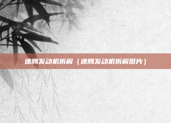 速腾发动机拆解（速腾发动机拆解图片）