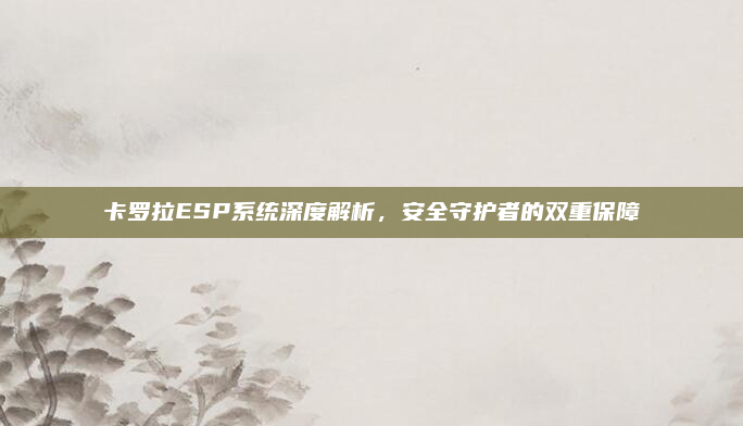 卡罗拉ESP系统深度解析，安全守护者的双重保障