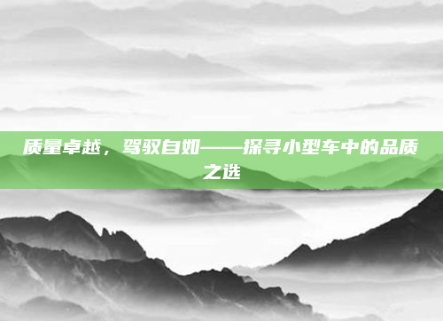 质量卓越，驾驭自如——探寻小型车中的品质之选