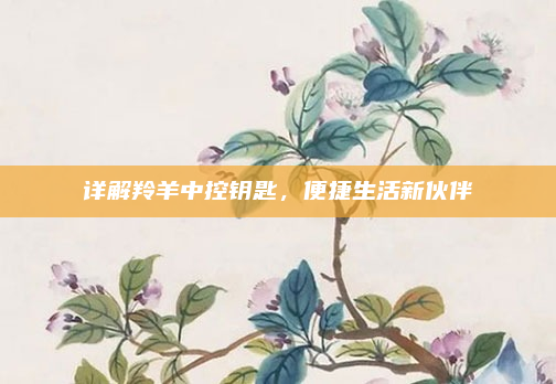 详解羚羊中控钥匙,便捷生活新伙伴