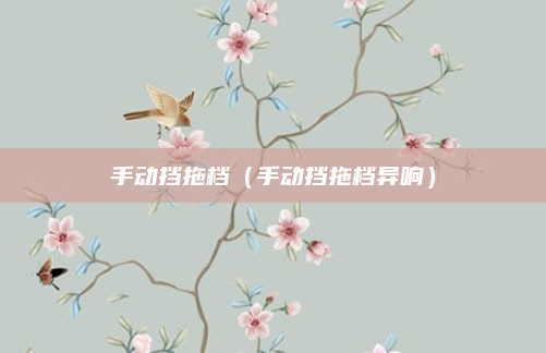 手动挡拖档（手动挡拖档异响）