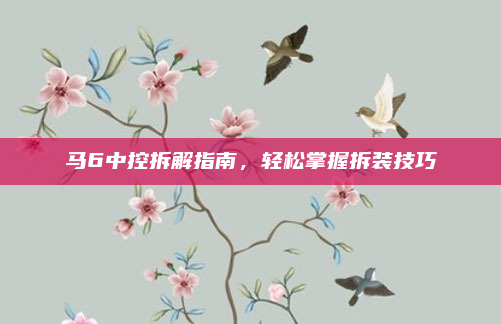马6中控拆解指南,轻松掌握拆装技巧