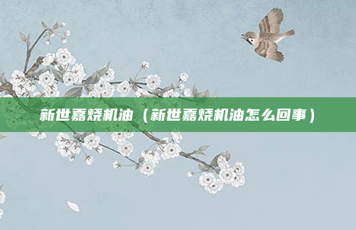 新世嘉烧机油（新世嘉烧机油怎么回事）