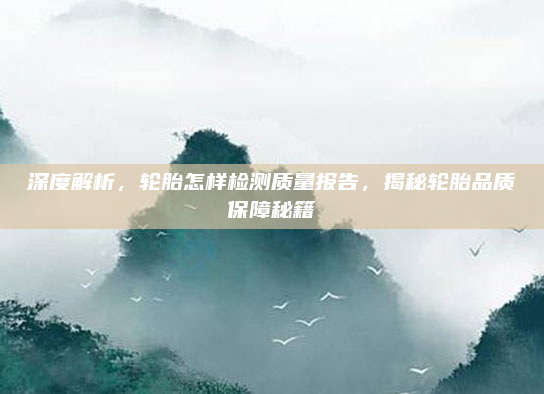 深度解析,轮胎怎样检测质量报告,揭秘轮胎品质保障秘籍