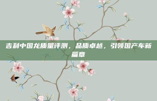 吉利中国龙质量评测,品质卓越,引领国产车新篇章