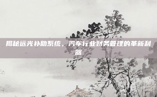 揭秘远光补助系统,汽车行业财务管理的革新利器
