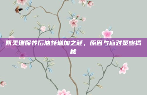 凯美瑞保养后油耗增加之谜,原因与应对策略揭秘
