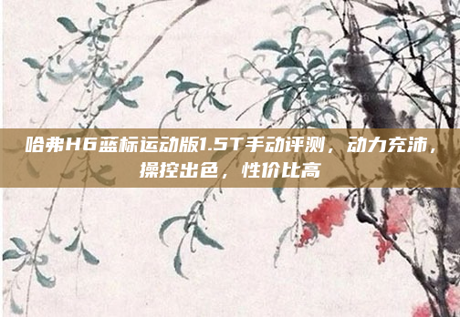 哈弗H6蓝标运动版1.5T手动评测，动力充沛，操控出色，性价比高