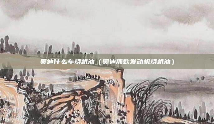 奥迪什么车烧机油（奥迪那款发动机烧机油）