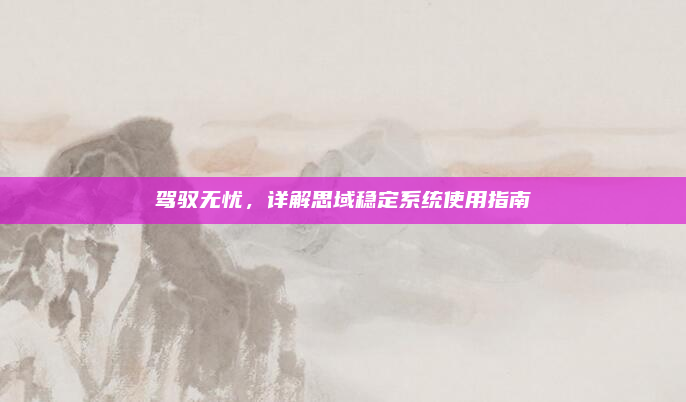 驾驭无忧,详解思域稳定系统使用指南