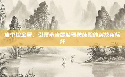 唐中控全景，引领未来智能驾驶体验的科技新标杆