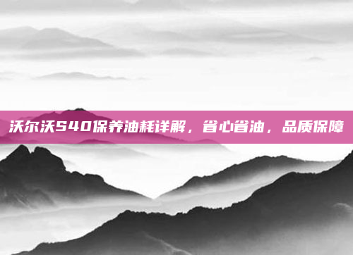 沃尔沃S40保养油耗详解,省心省油,品质保障