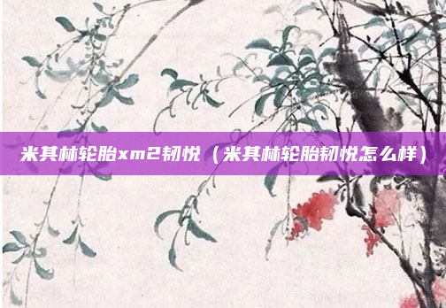 米其林轮胎xm2韧悦（米其林轮胎韧悦怎么样）