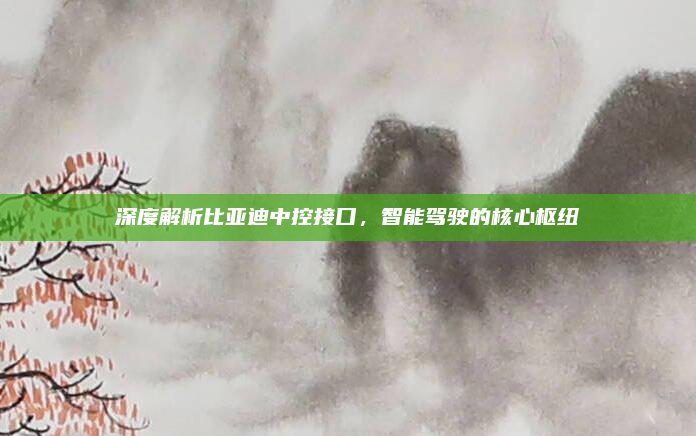 深度解析比亚迪中控接口，智能驾驶的核心枢纽
