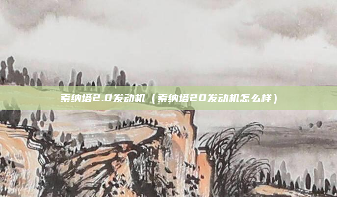 索纳塔2.0发动机（索纳塔20发动机怎么样）