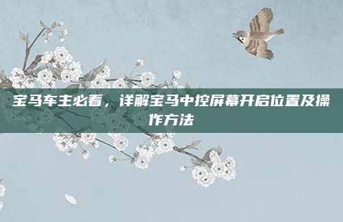 宝马车主必看，详解宝马中控屏幕开启位置及操作方法