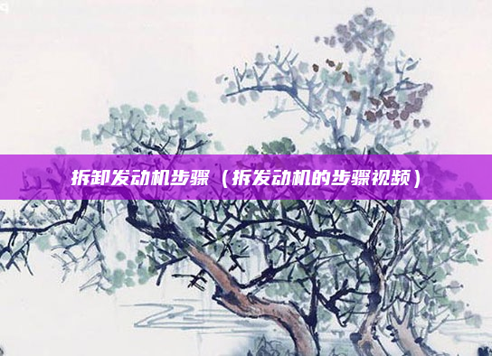 拆卸发动机步骤（拆发动机的步骤视频）