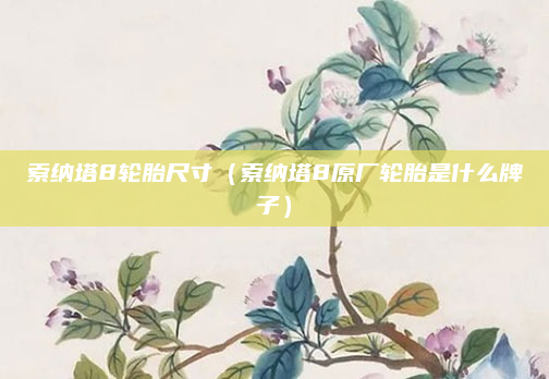 索纳塔8轮胎尺寸（索纳塔8原厂轮胎是什么牌子）