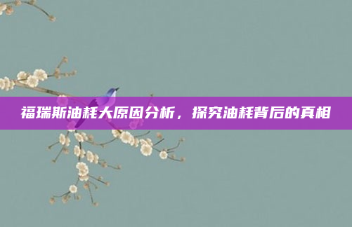 福瑞斯油耗大原因分析，探究油耗背后的真相