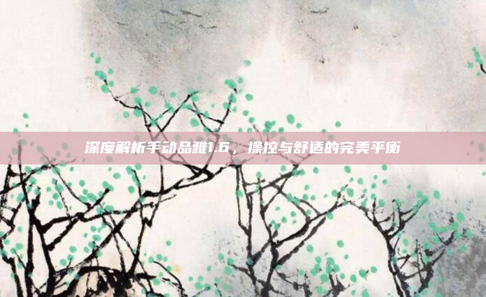 深度解析手动品雅1.6，操控与舒适的完美平衡