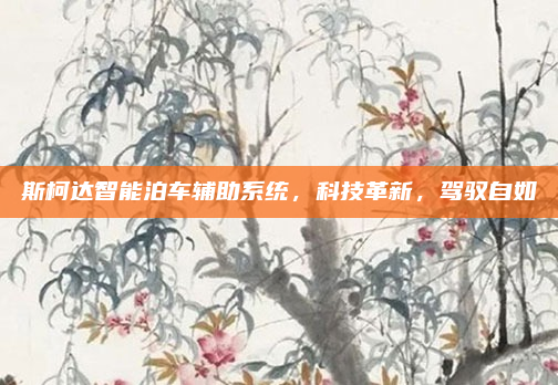 斯柯达智能泊车辅助系统，科技革新，驾驭自如