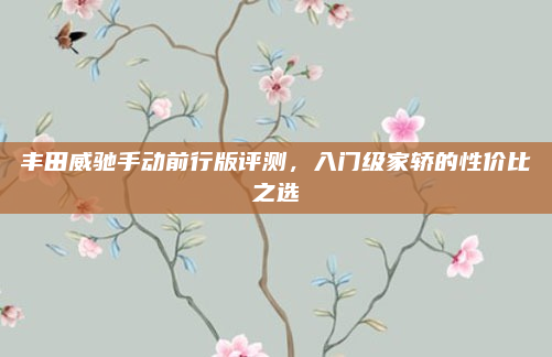 丰田威驰手动前行版评测,入门级家轿的性价比之选