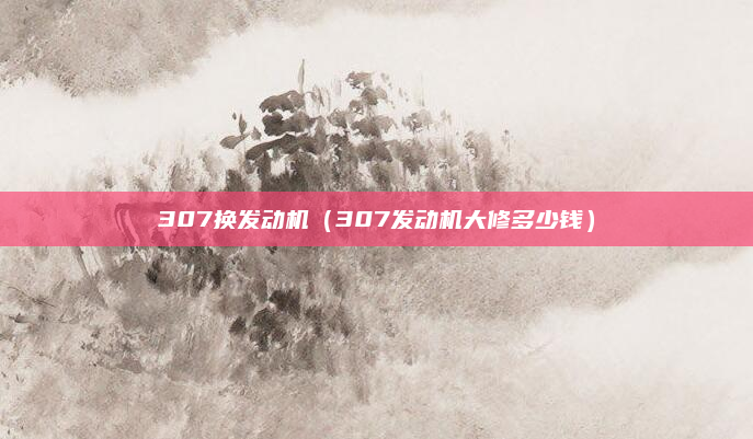 307换发动机(307发动机大修多少钱)
