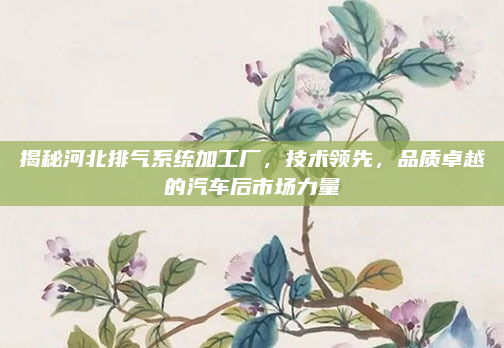 揭秘河北排气系统加工厂,技术领先,品质卓越的汽车后市场力量
