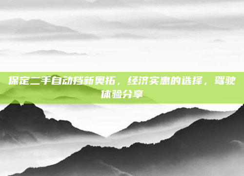 保定二手自动挡新奥拓，经济实惠的选择，驾驶体验分享