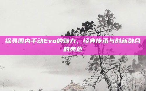 探寻国内手动Evo的魅力，经典传承与创新融合的典范