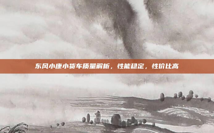 东风小康小货车质量解析，性能稳定，性价比高