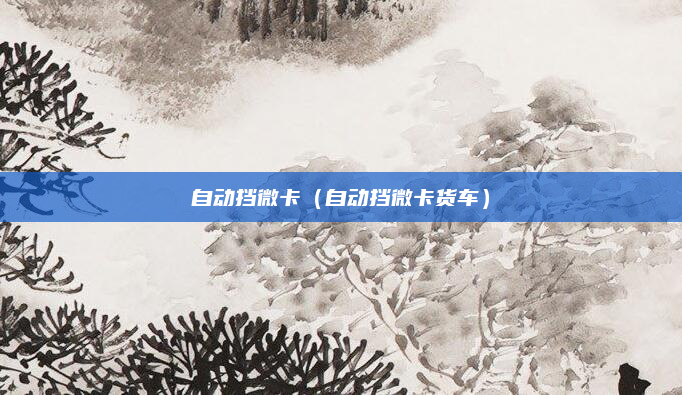 自动挡微卡(自动挡微卡货车)