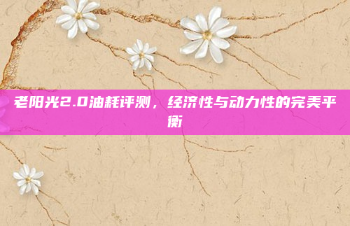 老阳光2.0油耗评测，经济性与动力性的完美平衡
