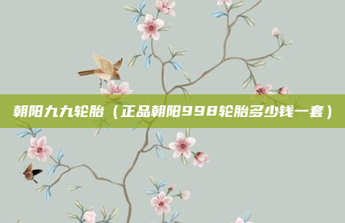 朝阳九九轮胎(正品朝阳998轮胎多少钱一套)