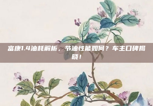 富康1.4油耗解析,节油性能如何?车主口碑揭晓!