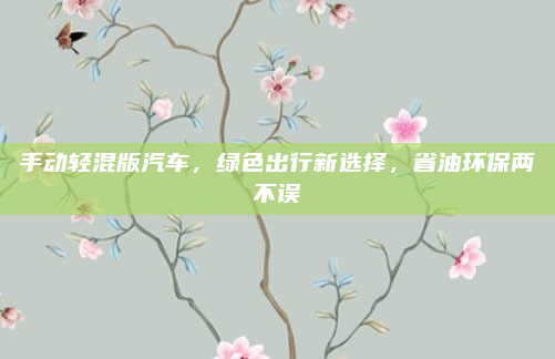 手动轻混版汽车，绿色出行新选择，省油环保两不误